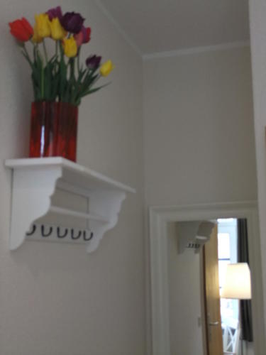 Einzelzimmer mit Boxspringbett