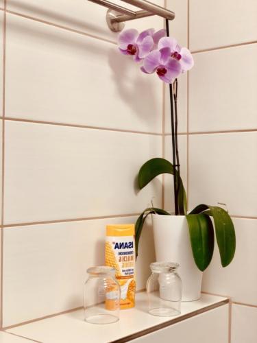 Einzelzimmer mit Boxspringbett